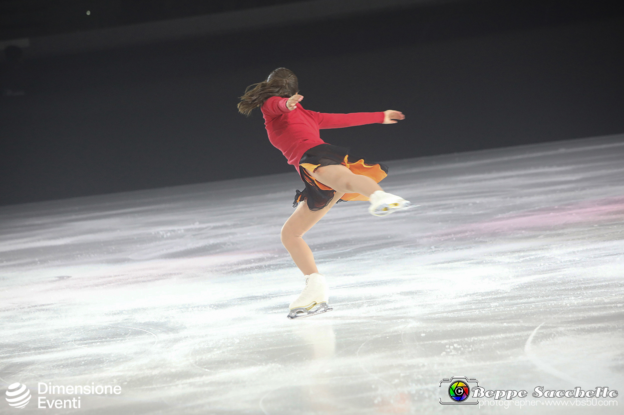 VBS_2165 - Monet on ice.jpg